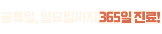 공휴일, 일요일까지 365일 진료