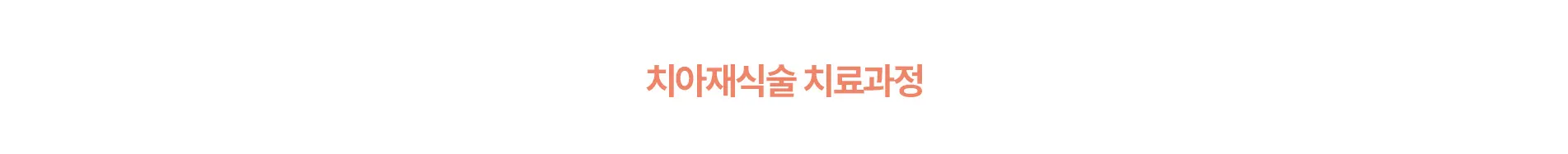 치아재식술 치료과정